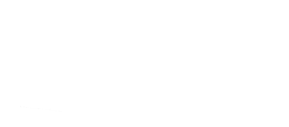 Logo para Narwhal